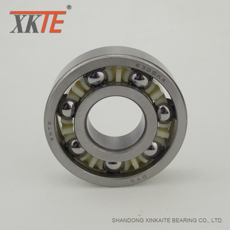 Sangkar Polyamide Bearing For Conveyors Roller Components