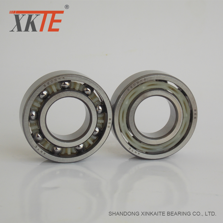 Getah Sealed Polyamide Cage Bearing 6205 C3 RS / 2RS