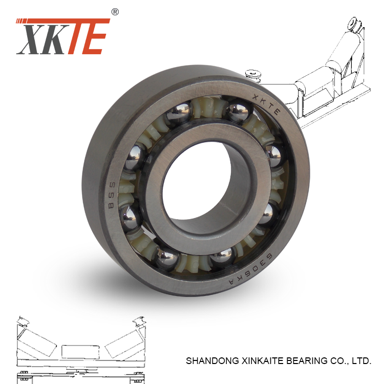 Nylon Cage yang dibentuk Idler Roller Bearing 6306KA / TN9