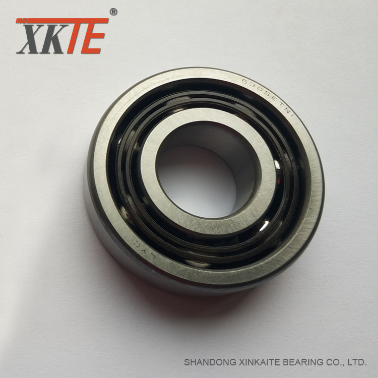 Diaduk 6/6 Nylon Cage Bearing For Mining Conveyor Idler