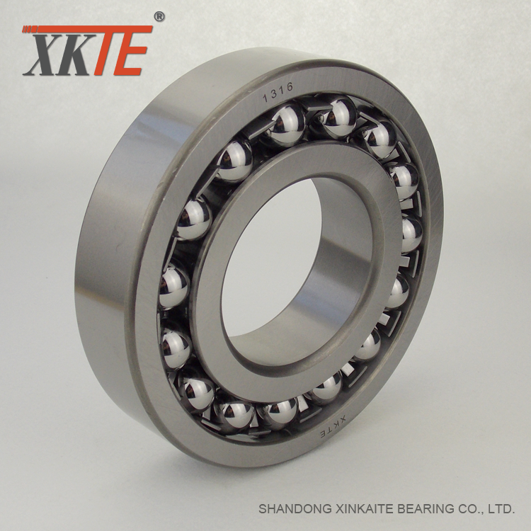 Bearing 1316