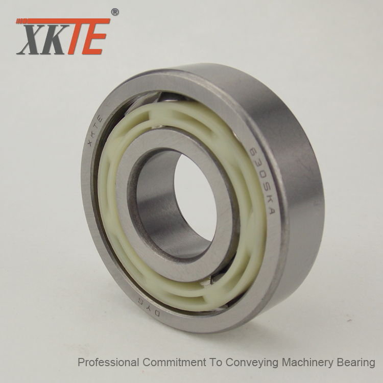 Poliamida Cage Ball Bearing For All Types Of Roller Conveyor
