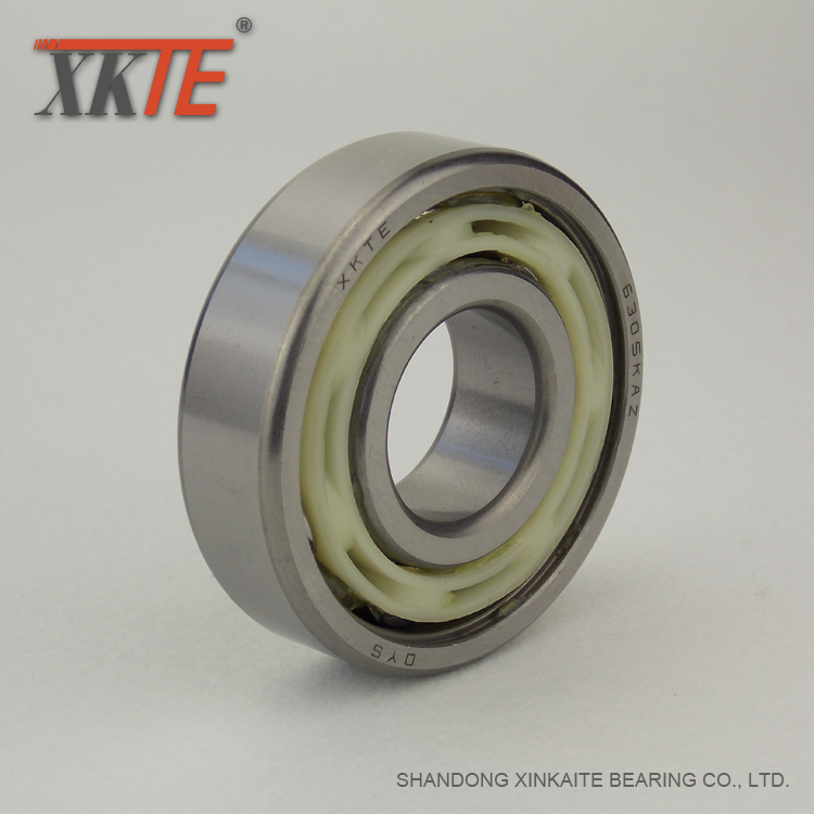 Nylon Retainer Conveyor Roller Bearing 6305 KA / TN9