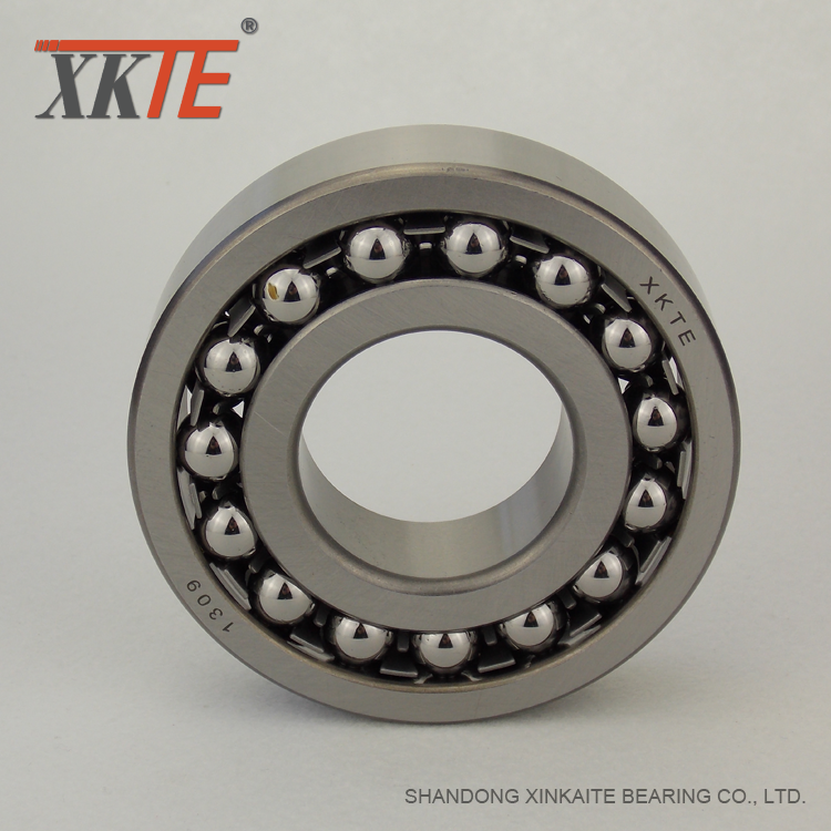 Self aligning Bearing Ball 1309 For Drum Pulley