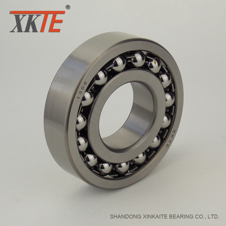 Self aligning Bearing Ball 1309 For Drum Pulley